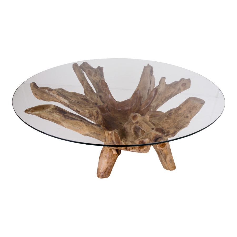 AMAZONAS Coffee Table