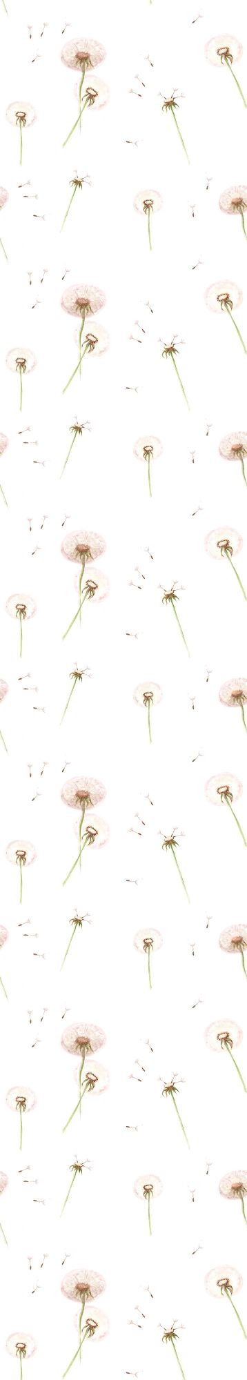 DANDELIONS Wallpaper 50x280CM