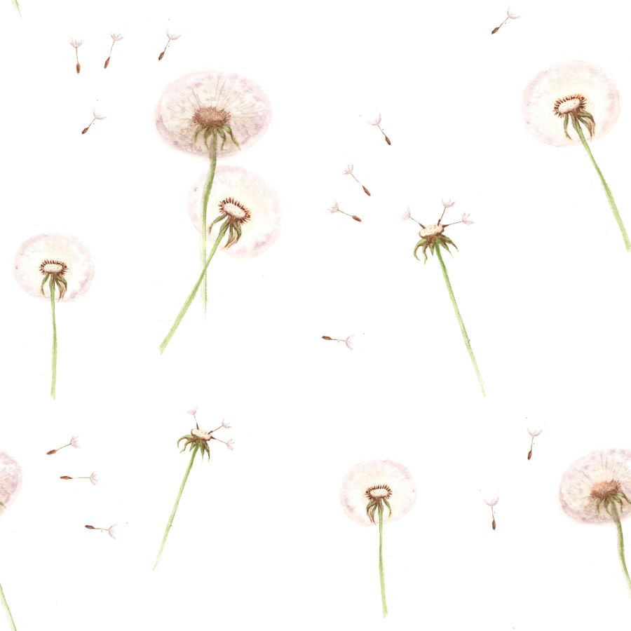 DANDELIONS Wallpaper 50x280CM