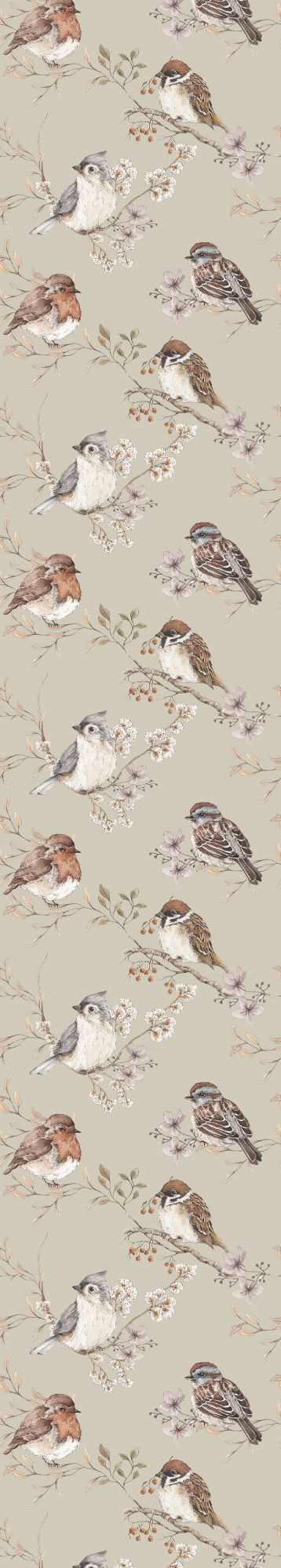 BIRDS GREEN Wallpaper 50x280CM