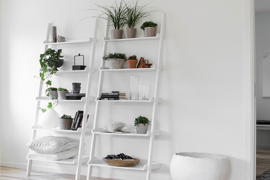 LADDER Shelves